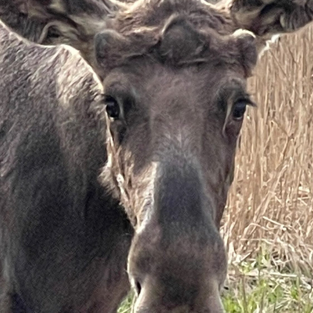 F Tterungen Aktuelle Nachrichten Wildpark Schloss Tambach